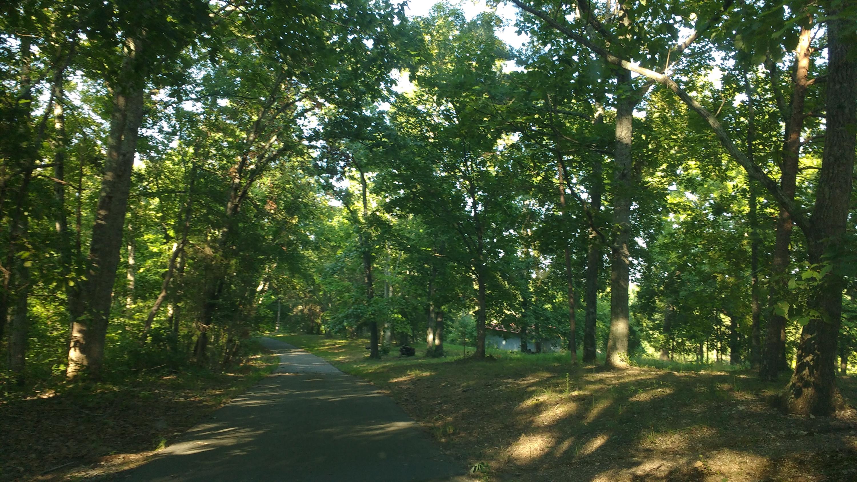 121 Wilson Hollow Road Decatur, TN 37322 - Photo 4 of 16 IMG_20160806_182827666