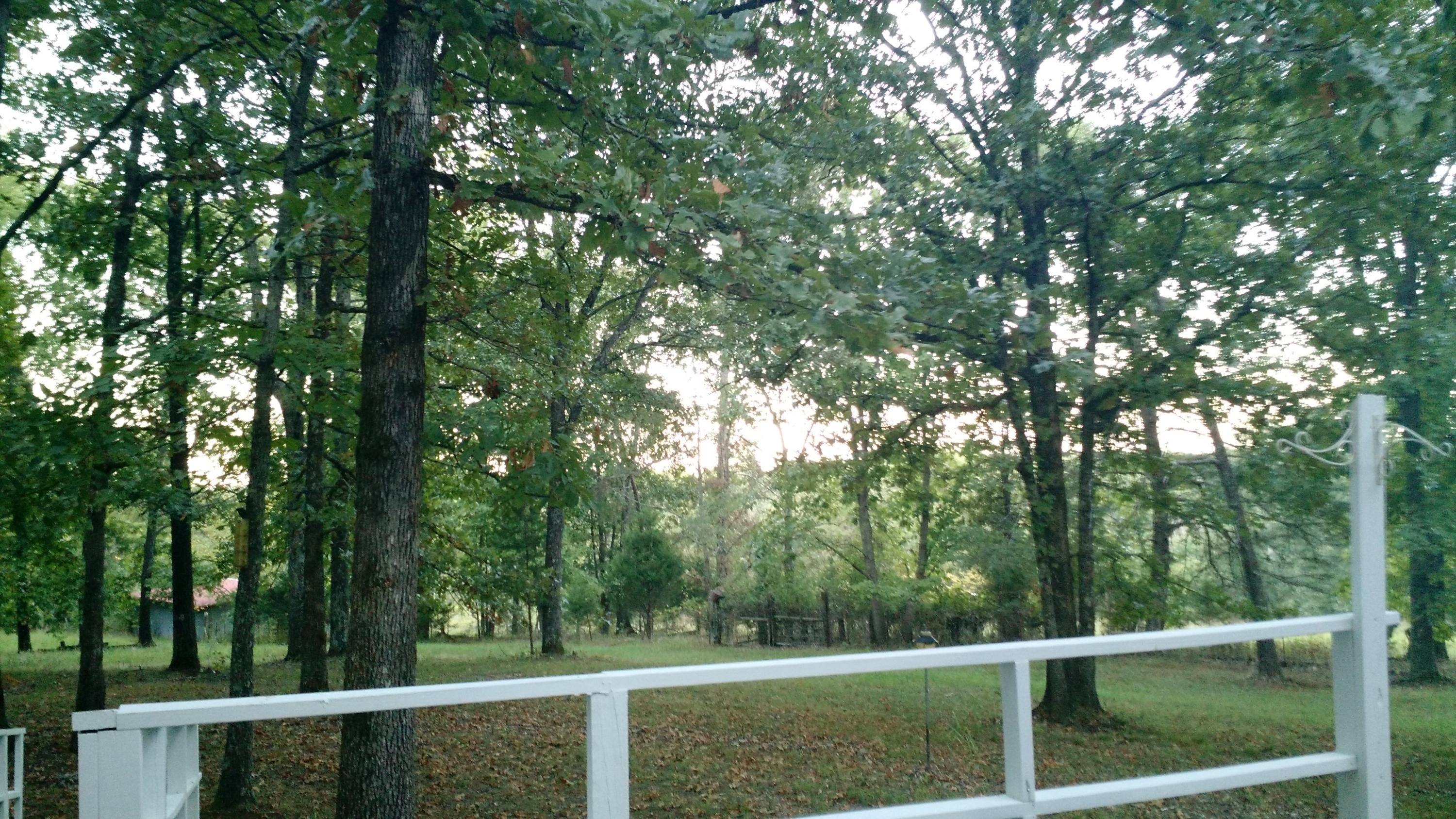 121 Wilson Hollow Road Decatur, TN 37322 - Photo 8 of 16 IMG_20160922_190634363