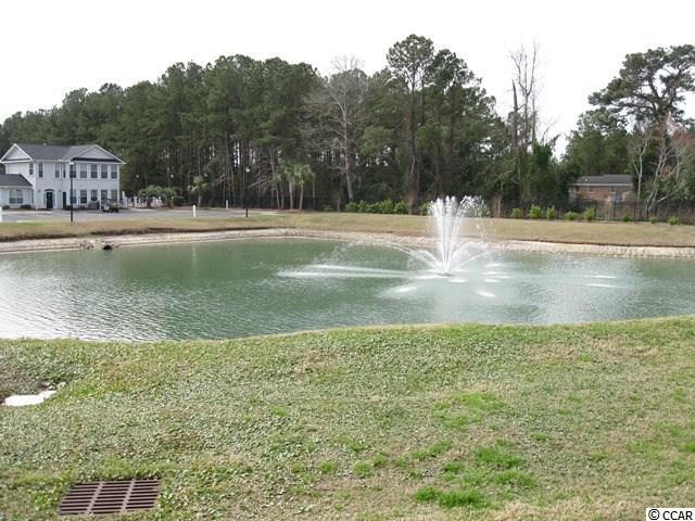 121 Waypoint Ridge Avenue, Unit P26 Little River, SC 29566 - Photo 24 of 32 Gallery Image 24