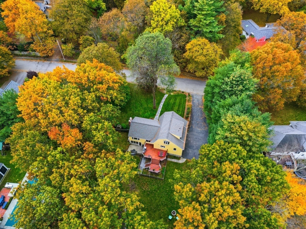 5 Carnegie Place Lexington, MA 02420 - Photo 5 of 39 a white bench sitting in the middle of a flower