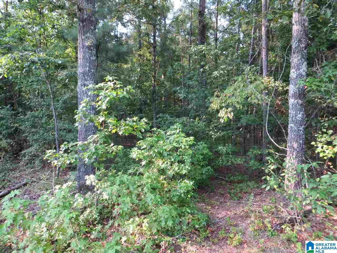 Eureka Road, Unit 1 Lincoln, AL 35096 - Photo 32 of 34