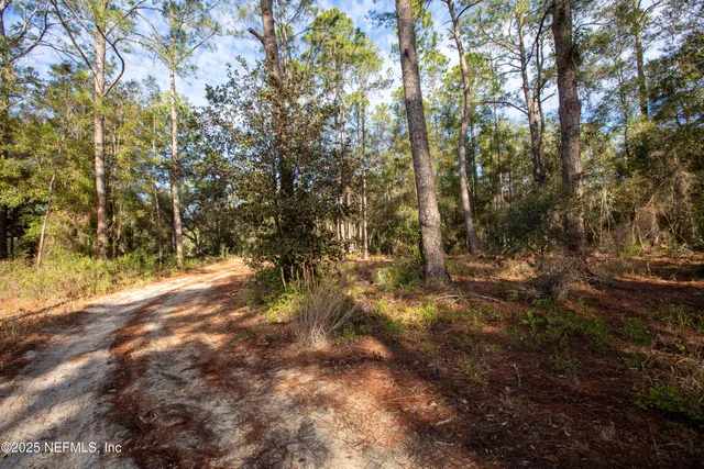 $16,000 | 0 Lake Everett Drive, Melrose, FL 32666