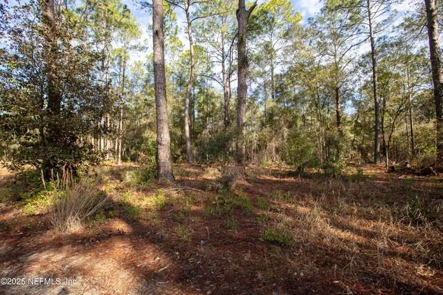 $16,000 | 0 Lake Everett Drive, Melrose, FL 32666