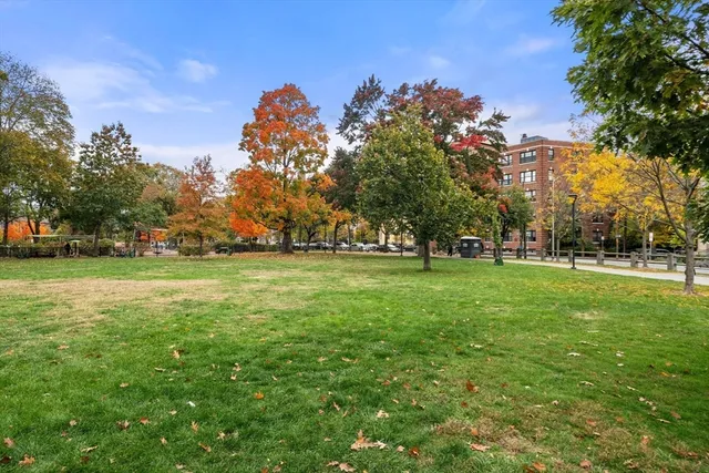 a view of yard with green space
