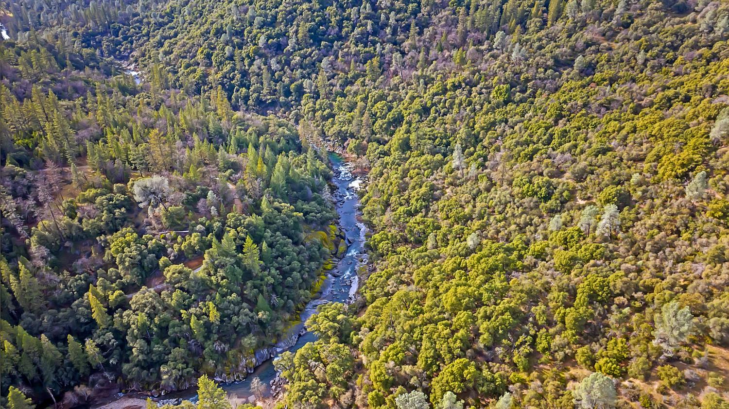 5939 Silver Ridge Lane Placerville, CA 95667 - Photo 40 of 50