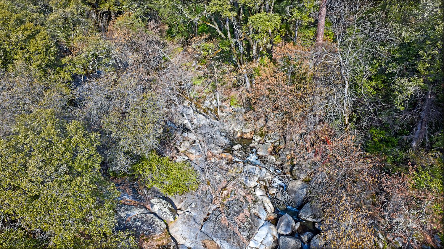 5939 Silver Ridge Lane Placerville, CA 95667 - Photo 41 of 50