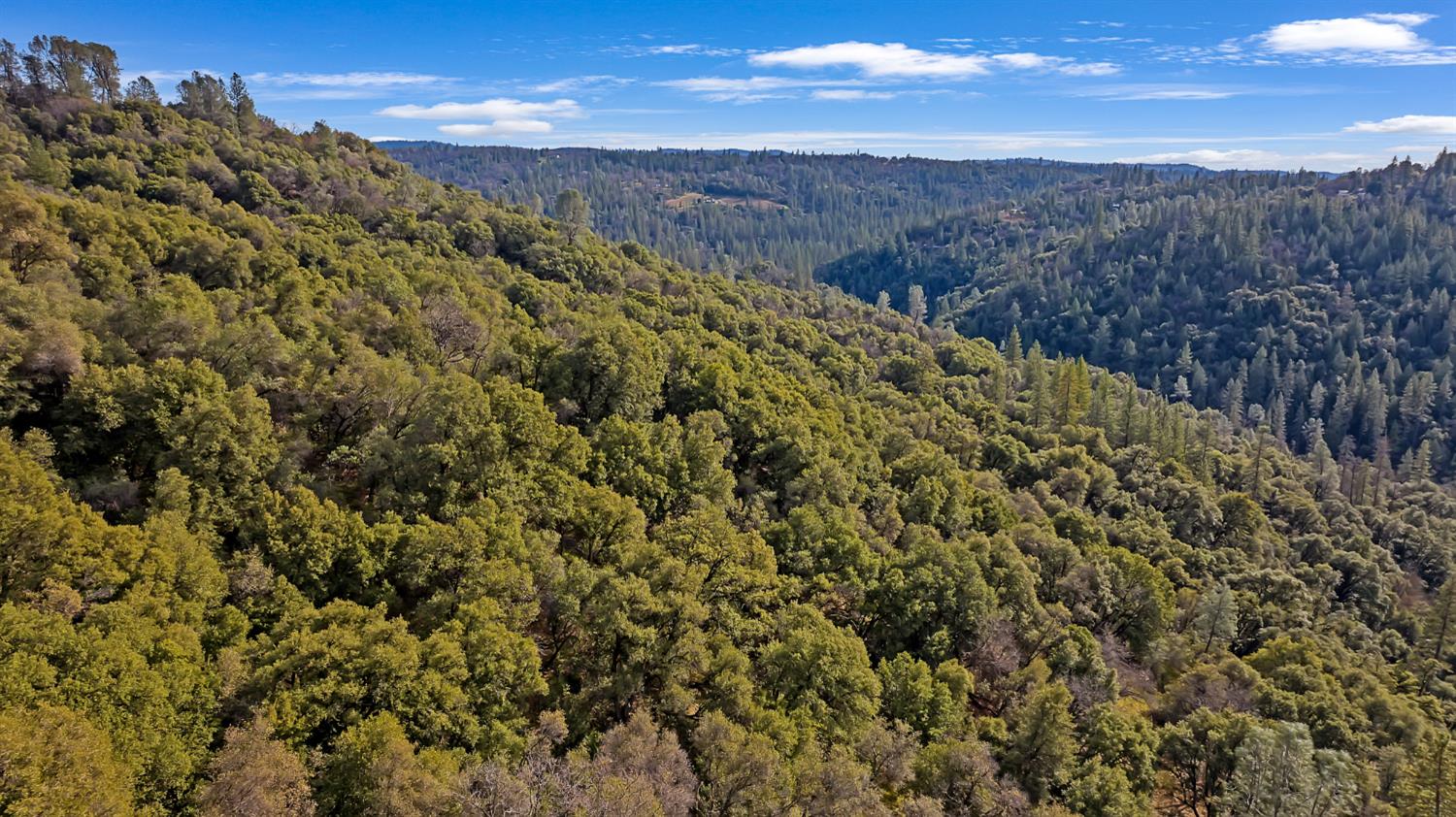 5939 Silver Ridge Lane Placerville, CA 95667 - Photo 44 of 50