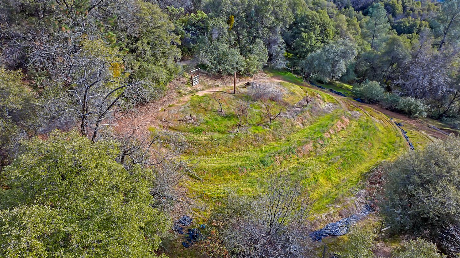 5939 Silver Ridge Lane Placerville, CA 95667 - Photo 47 of 50