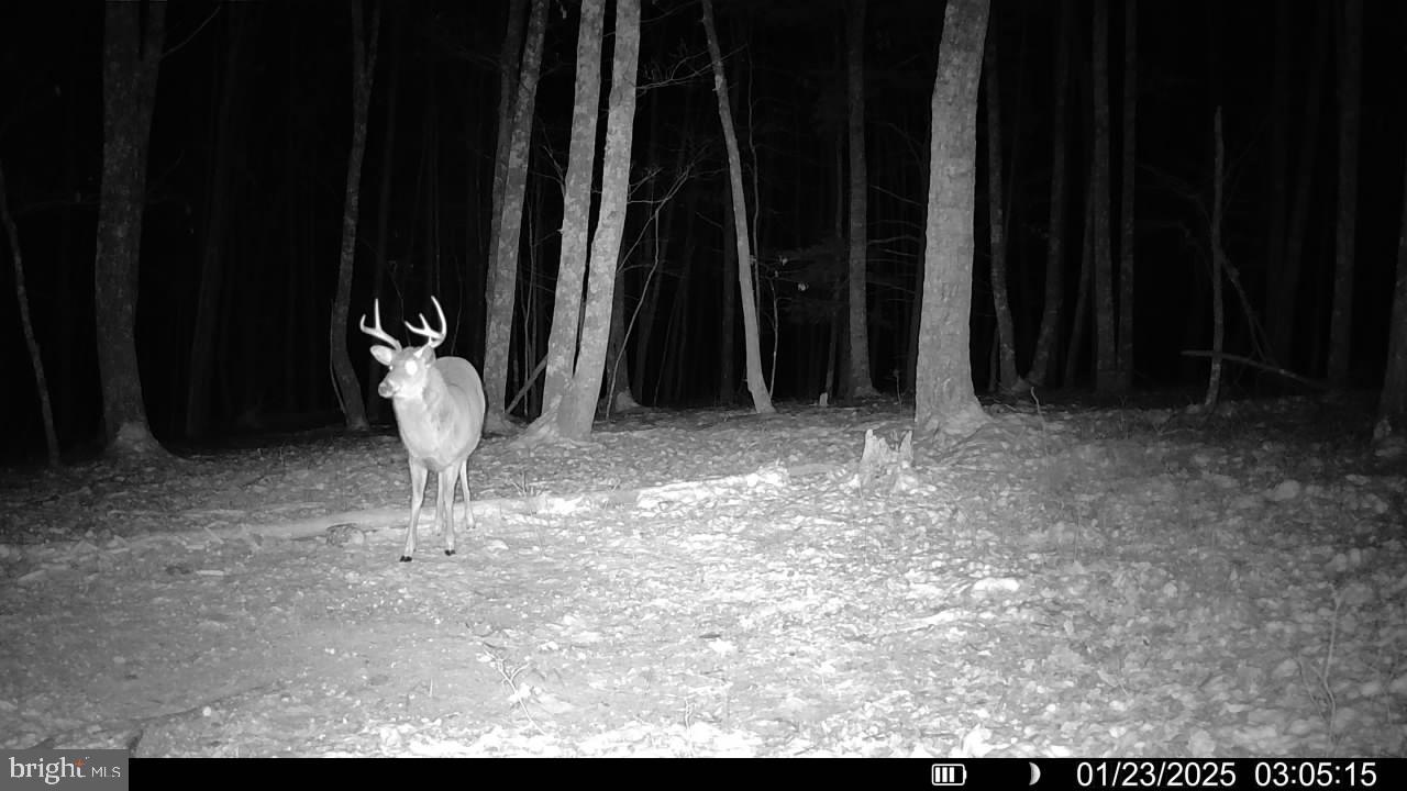 Green Ridge Road Flintstone, MD 21530 - Photo 5 of 7