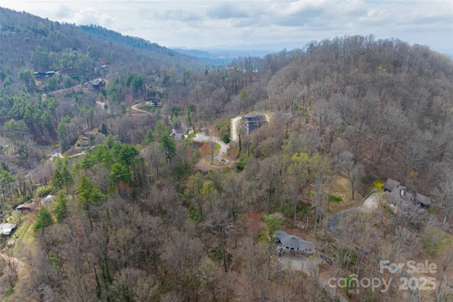 a view of a dry yard with trees
