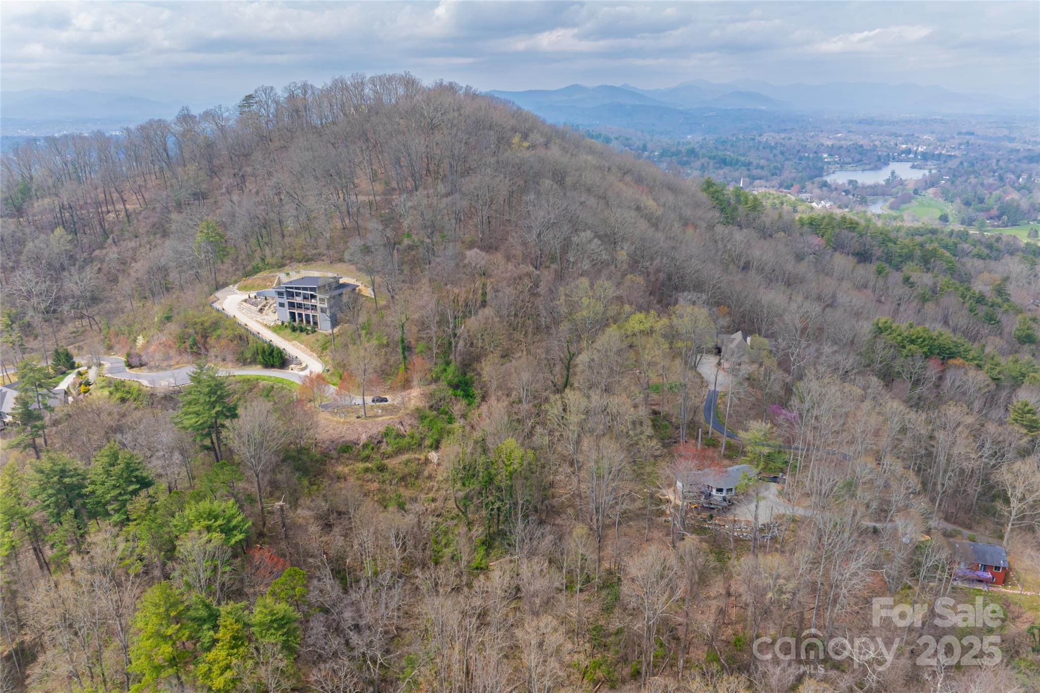 32 Grovepoint Way Asheville, NC 28804 - Photo 15 of 22 a view of a dry yard with trees