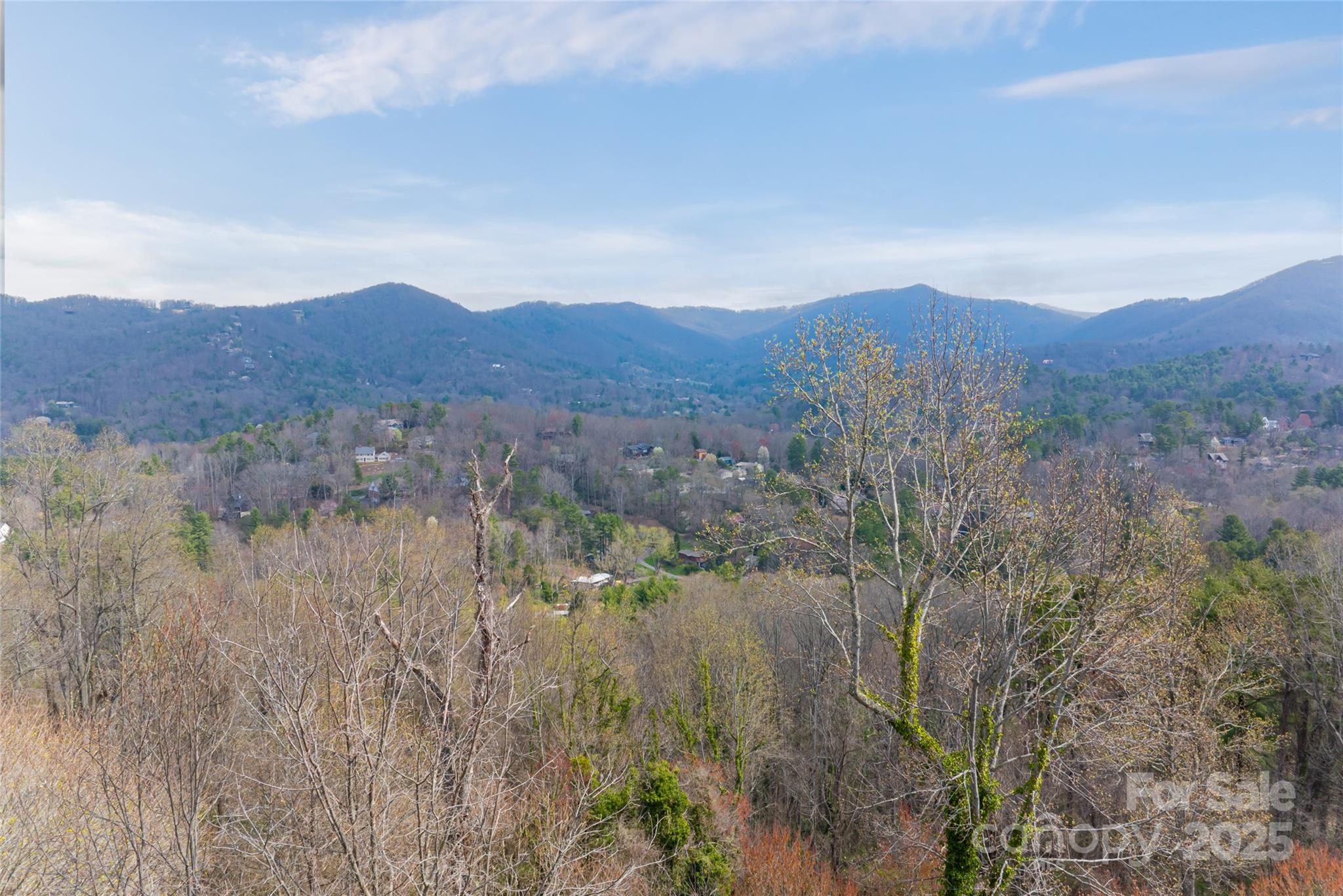 32 Grovepoint Way Asheville, NC 28804 - Photo 16 of 22 a view of lake with mountain