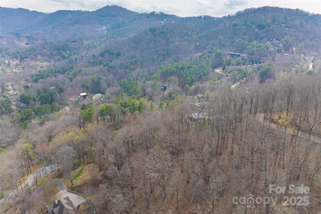 a view of a street with a large trees