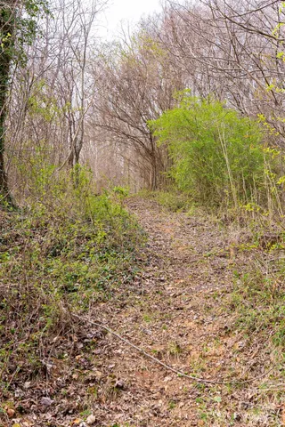 a view of a house with a big yard and large trees