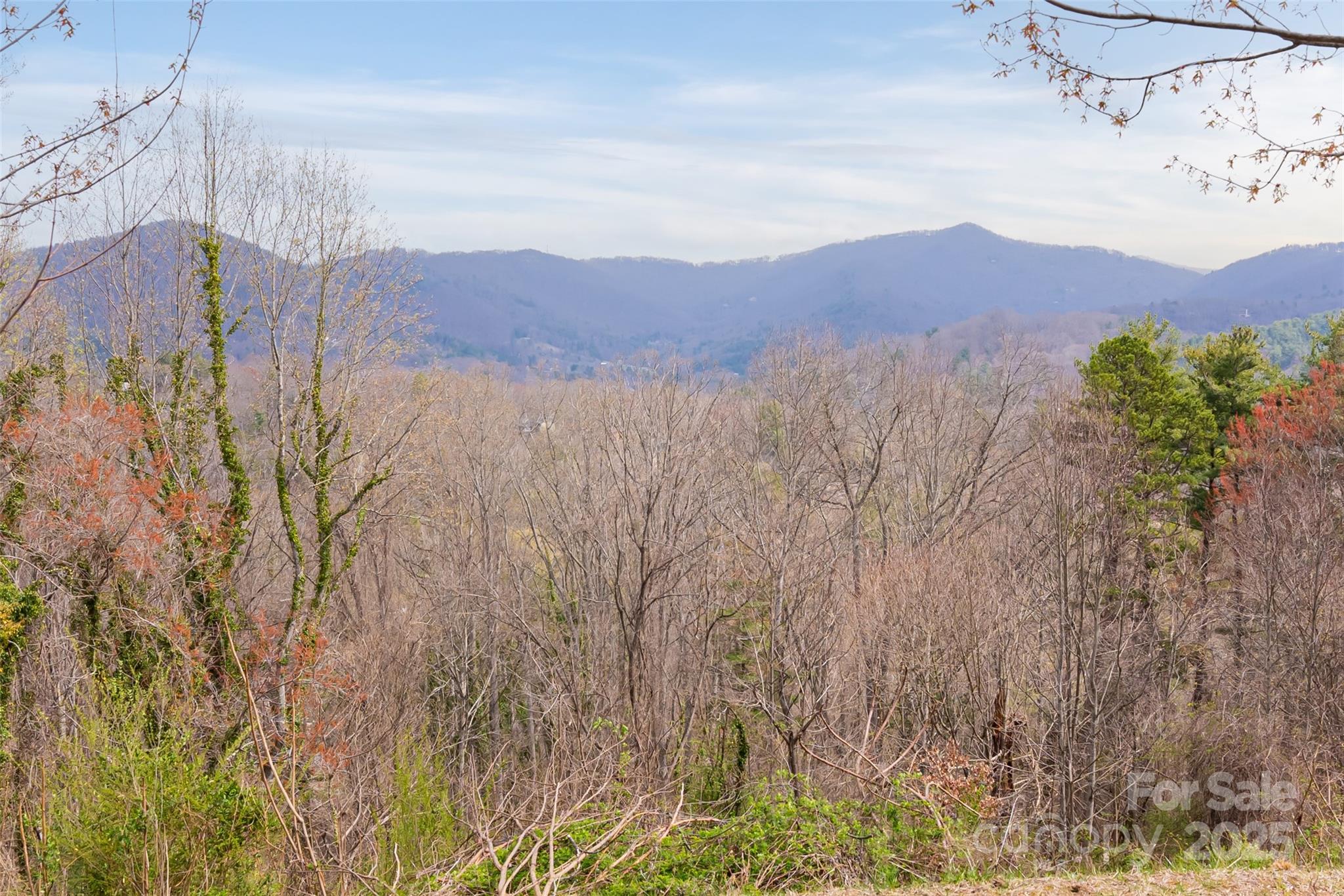 32 Grovepoint Way Asheville, NC 28804 - Photo 2 of 22 a view of a dry yard with mountains in the background