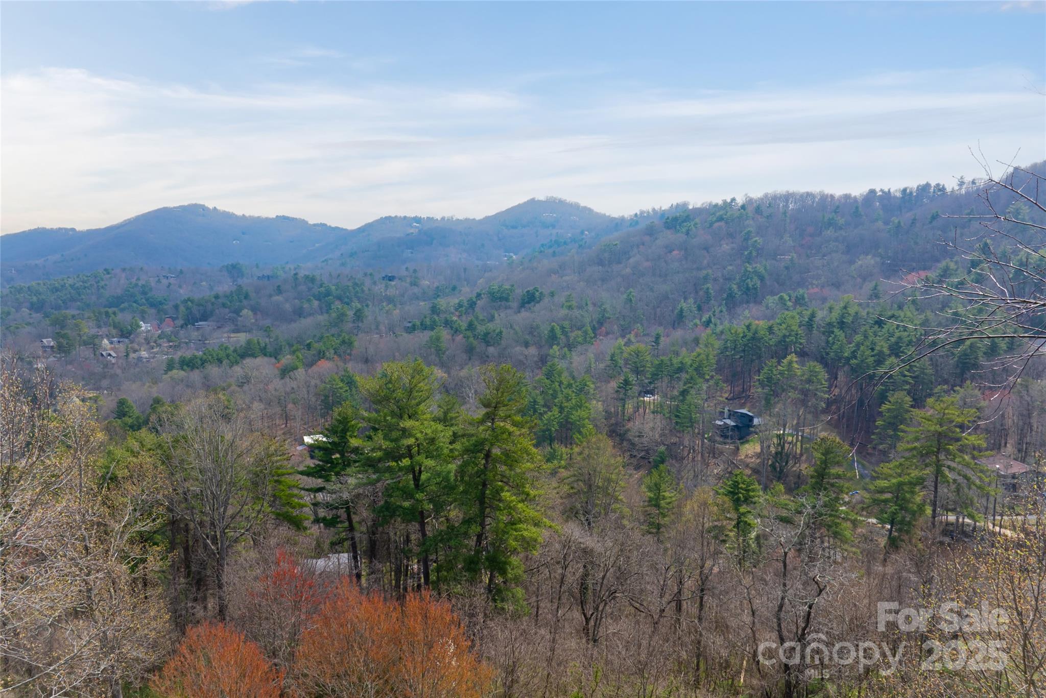32 Grovepoint Way Asheville, NC 28804 - Photo 9 of 22