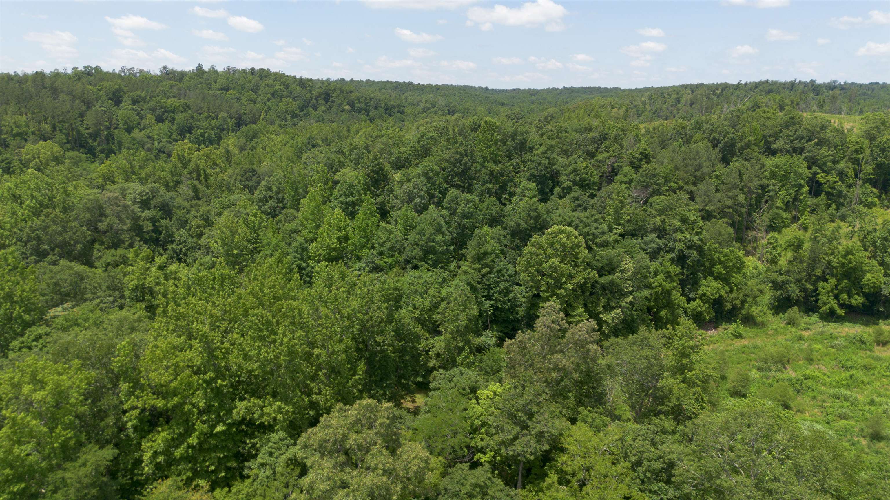 Bunches Chapel Road Parsons, TN 38363 - Photo 11 of 12 Birds eye view of property
