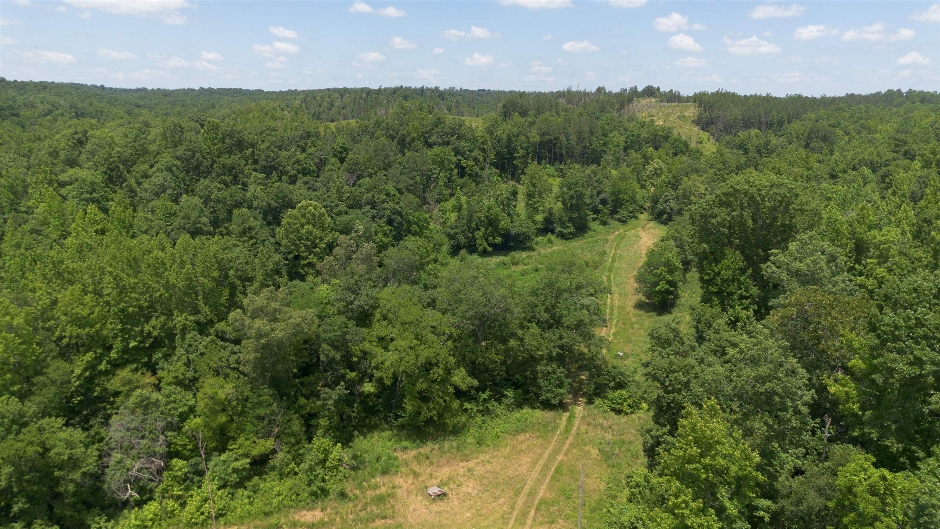Bunches Chapel Road Parsons, TN 38363 - Photo 12 of 12 Bird's eye view