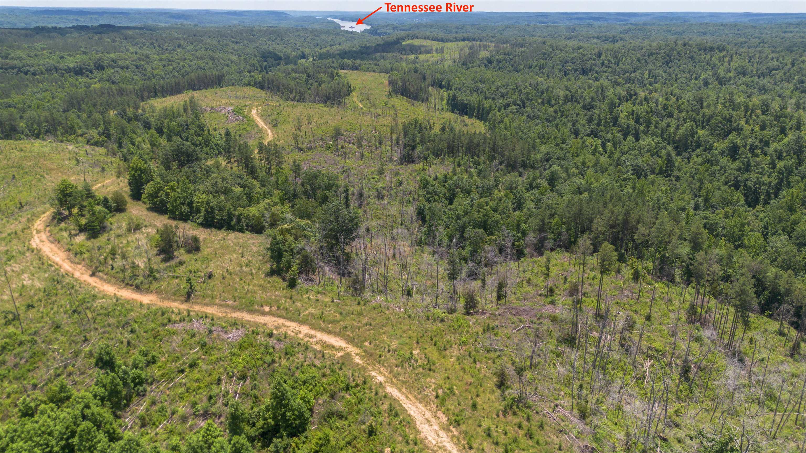 Bunches Chapel Road Parsons, TN 38363 - Photo 3 of 12 Bird's eye view