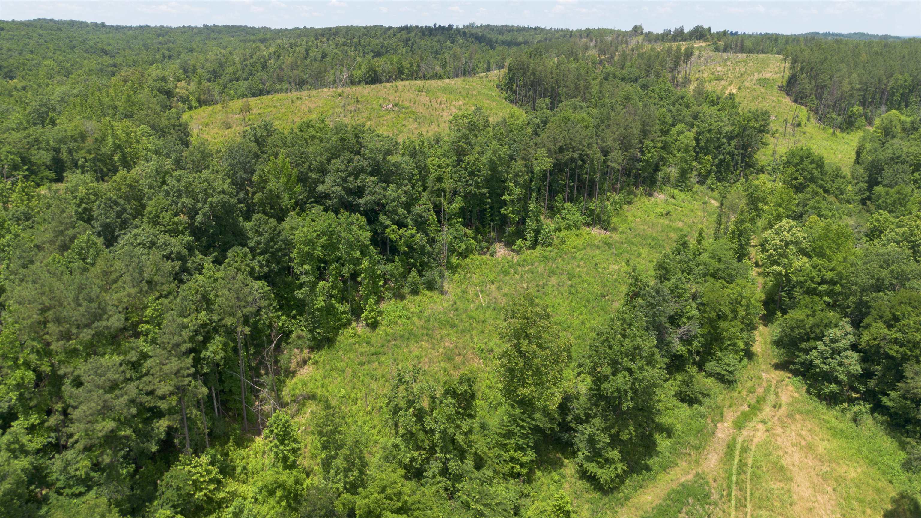 Bunches Chapel Road Parsons, TN 38363 - Photo 8 of 12 Bird's eye view