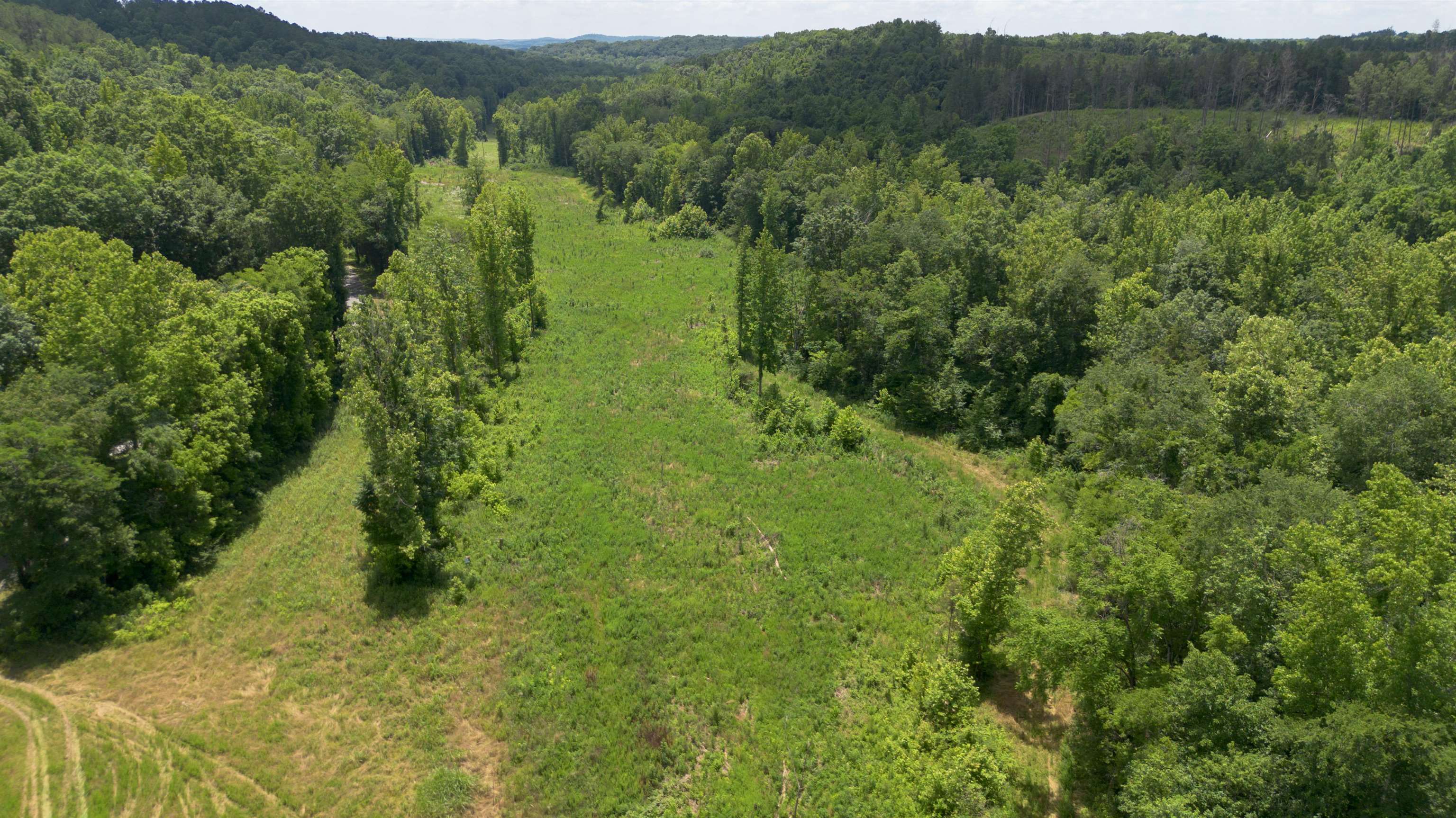 Bunches Chapel Road Parsons, TN 38363 - Photo 9 of 12 Birds eye view of property