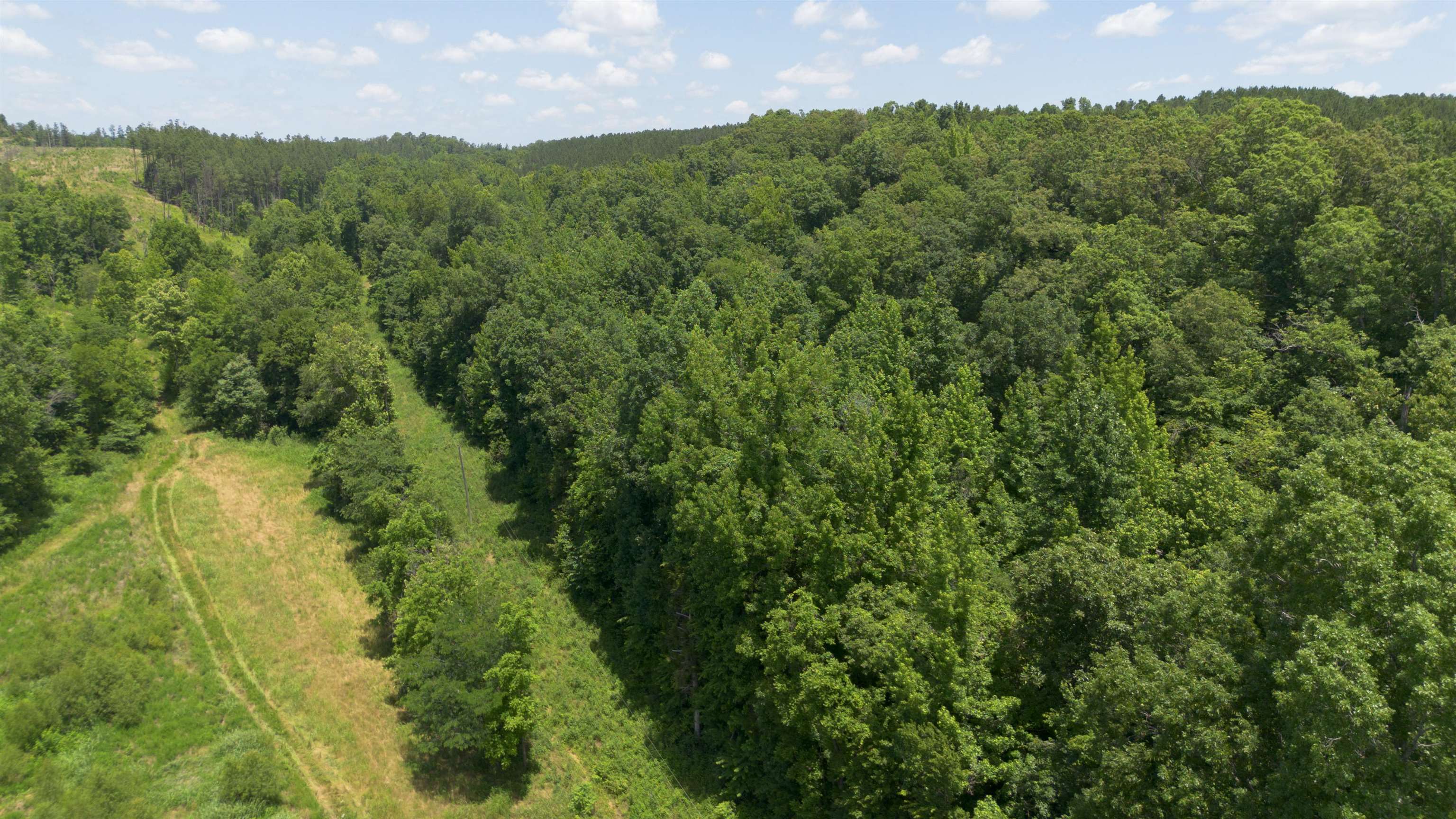 Bunches Chapel Road Parsons, TN 38363 - Photo 10 of 12 Aerial view