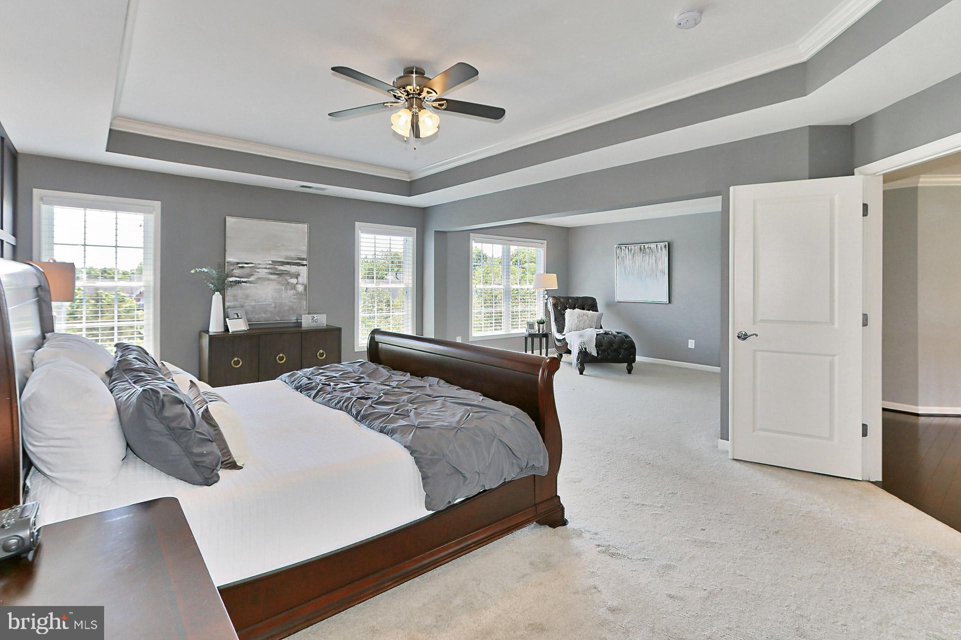 42395 Rising Moon Place Brambleton, VA 20148 - Photo 18 of 82 Tray Ceiling + Ceiling Fan