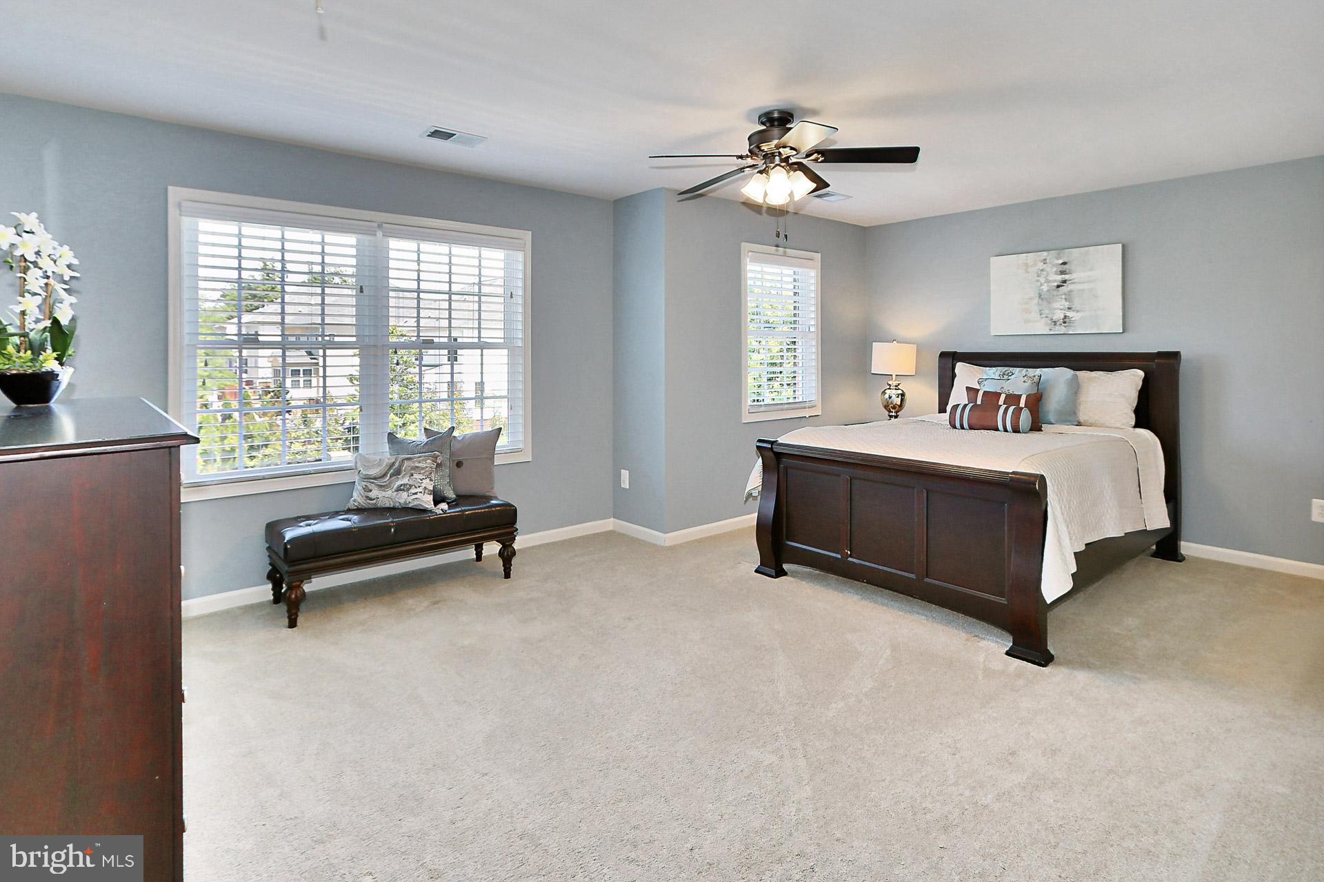 42395 Rising Moon Place Brambleton, VA 20148 - Photo 24 of 82 Junior Suite w/ Walk In Closet, CF + Ensuite FB