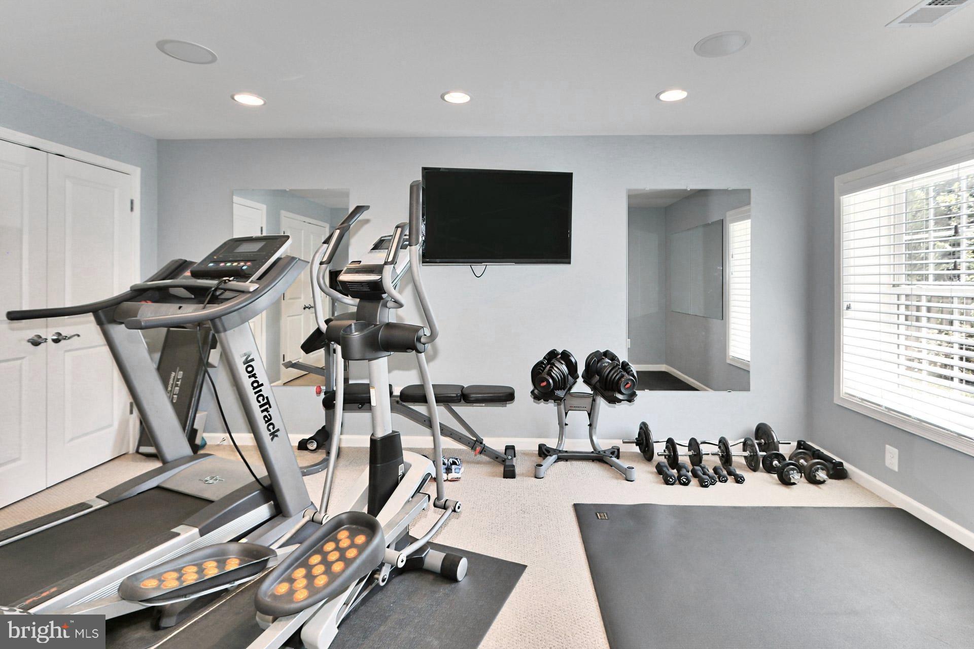42395 Rising Moon Place Brambleton, VA 20148 - Photo 47 of 82 Bedroom #5 or Home Gym*Possibilities are Limitless