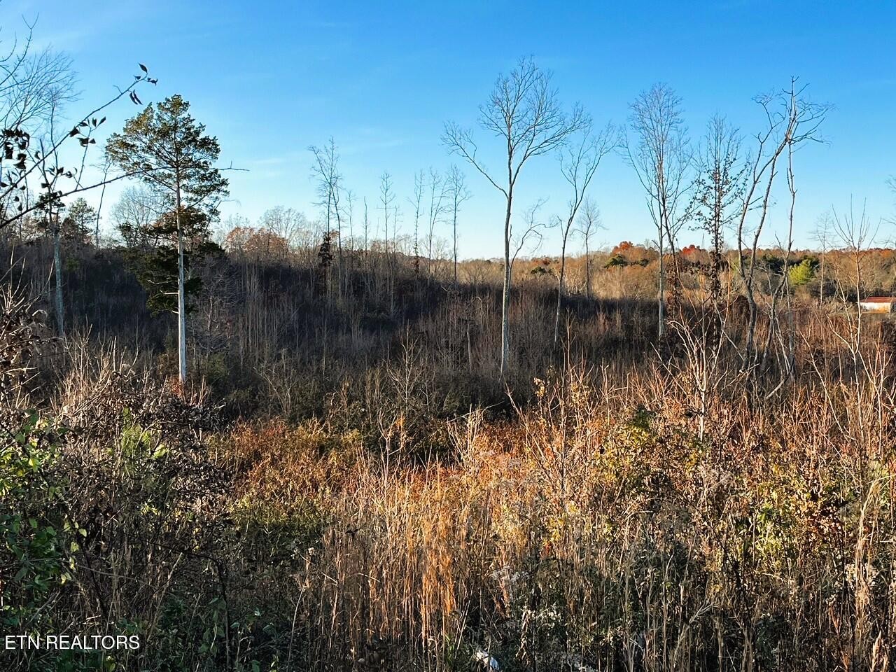 1667 Euchee Road Ten Mile, TN 37880 - Photo 21 of 25