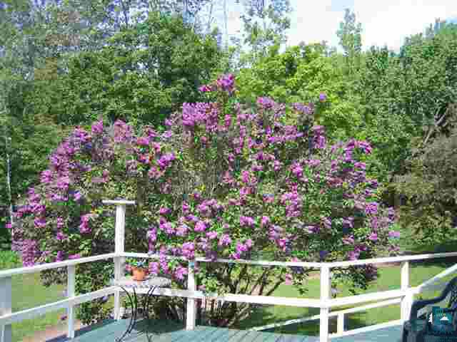 83985 Hatchery Road Bayfield, WI 54814 - Photo 3 of 25 Gallery Image 3