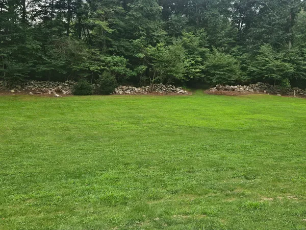 a view of yard with green space