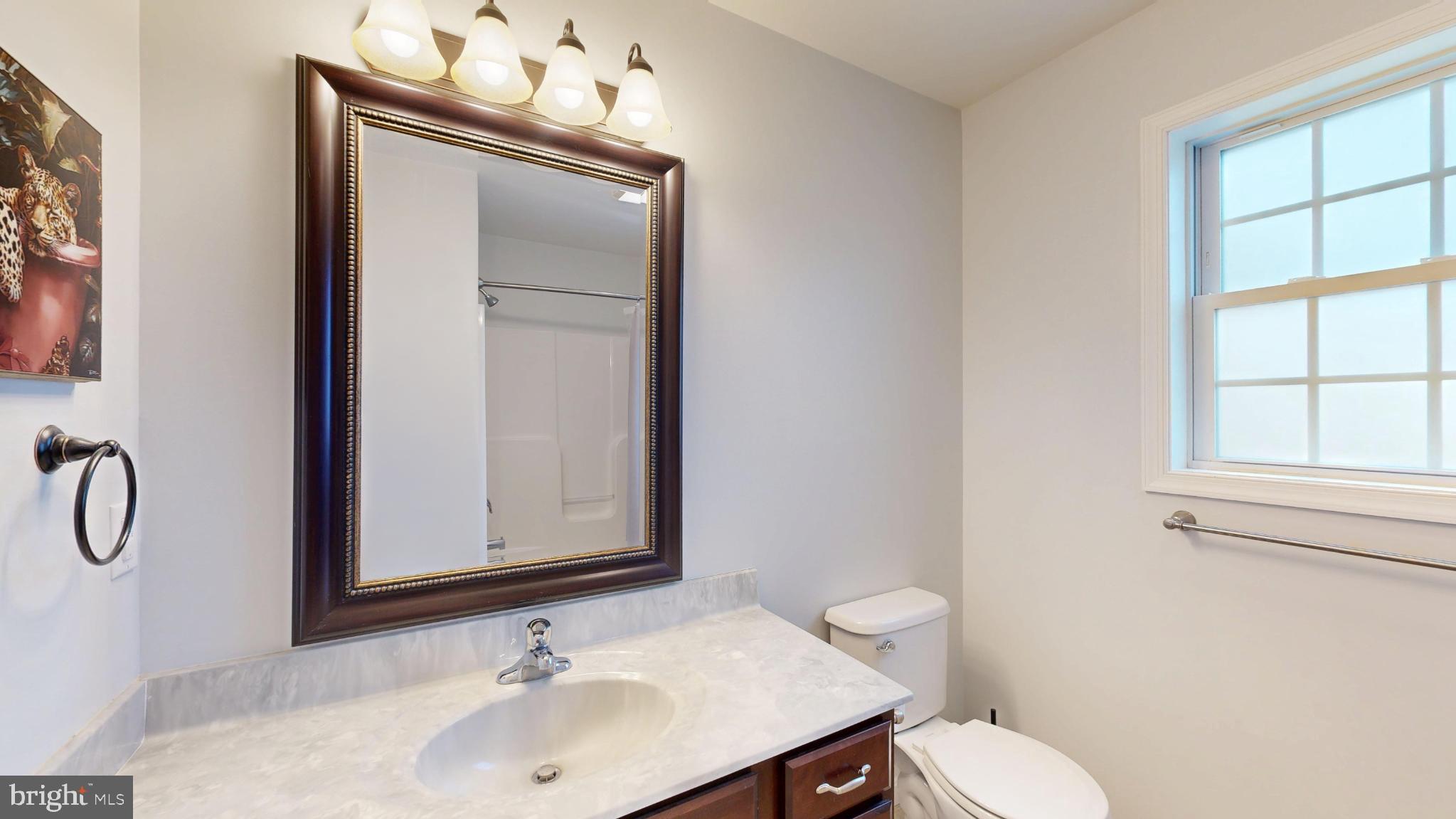 202 East Buck Point Road Clayton, DE 19938 - Photo 23 of 53 a bathroom with a sink vanity mirror and toilet