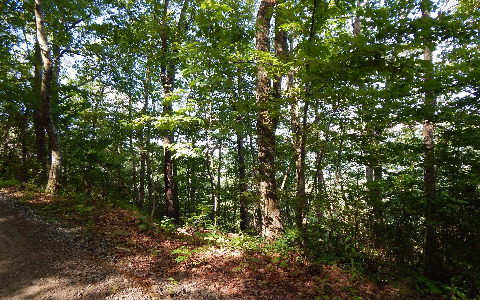 3 Caesars Gap Road Hiawassee, GA 30546 - Photo 11 of 11 Additional View