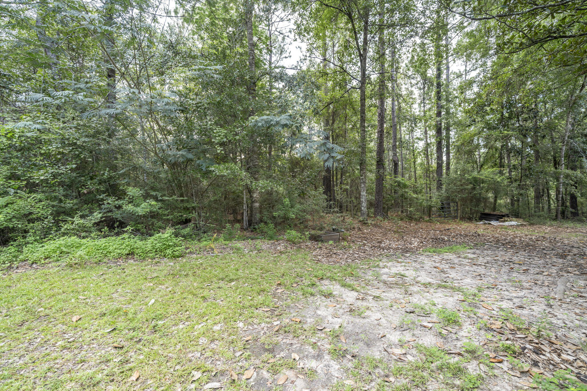 6359 Childrens Lane Crestview, FL 32539 - Photo 37 of 50 a view of outdoor space with trees