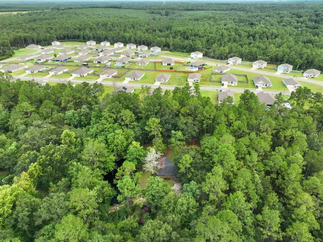 a view of a garden with a lake
