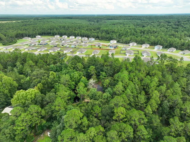 a view of a lush green forest with lots of trees