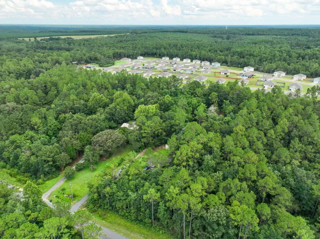 an aerial view of residential houses with outdoor space and trees