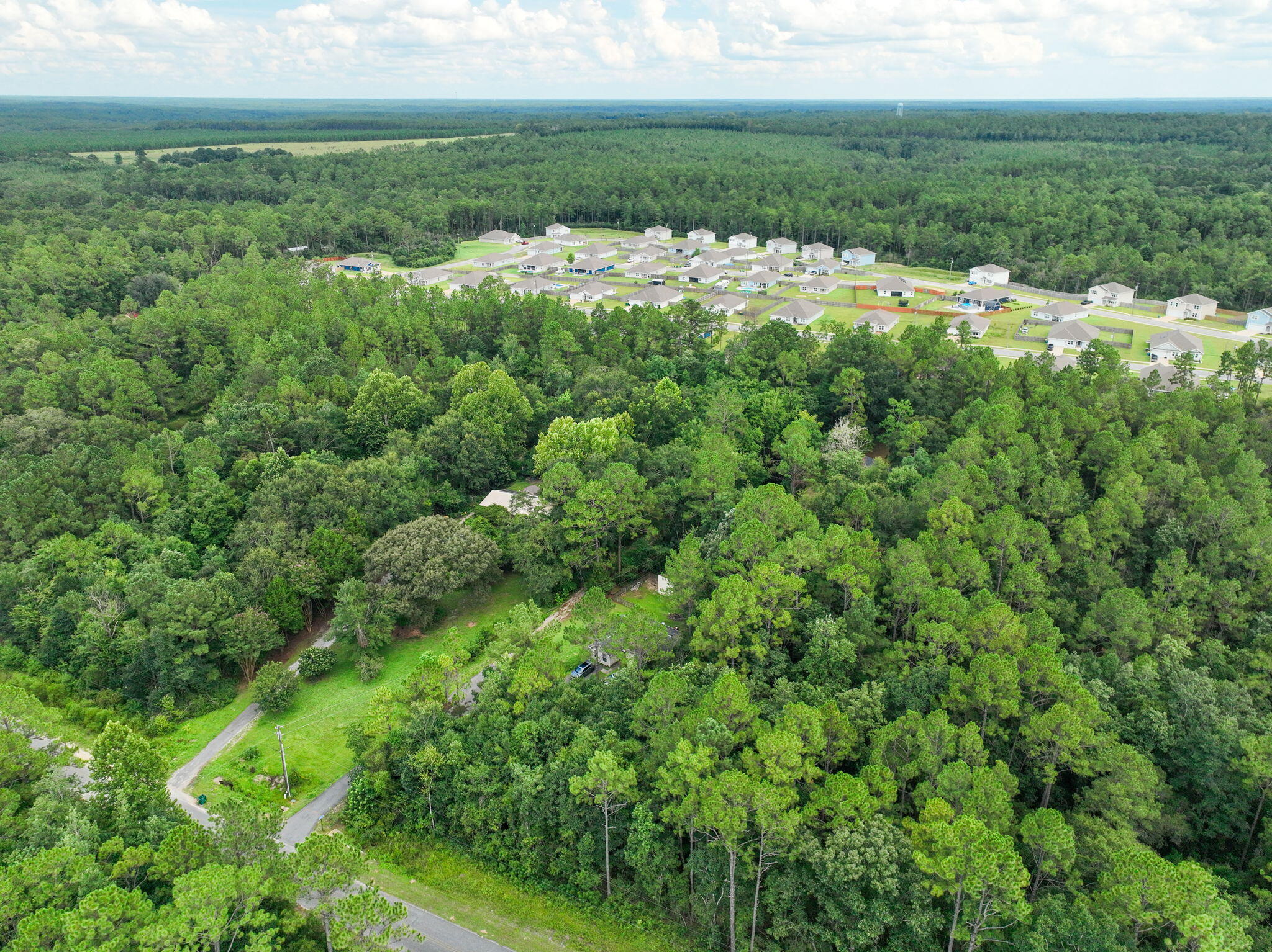 6359 Childrens Lane Crestview, FL 32539 - Photo 43 of 50 a view of a lush green forest with lots of trees