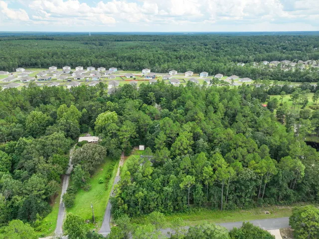 a view of a city with lush green forest
