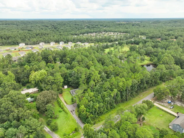 a view of a big yard with plants and large trees