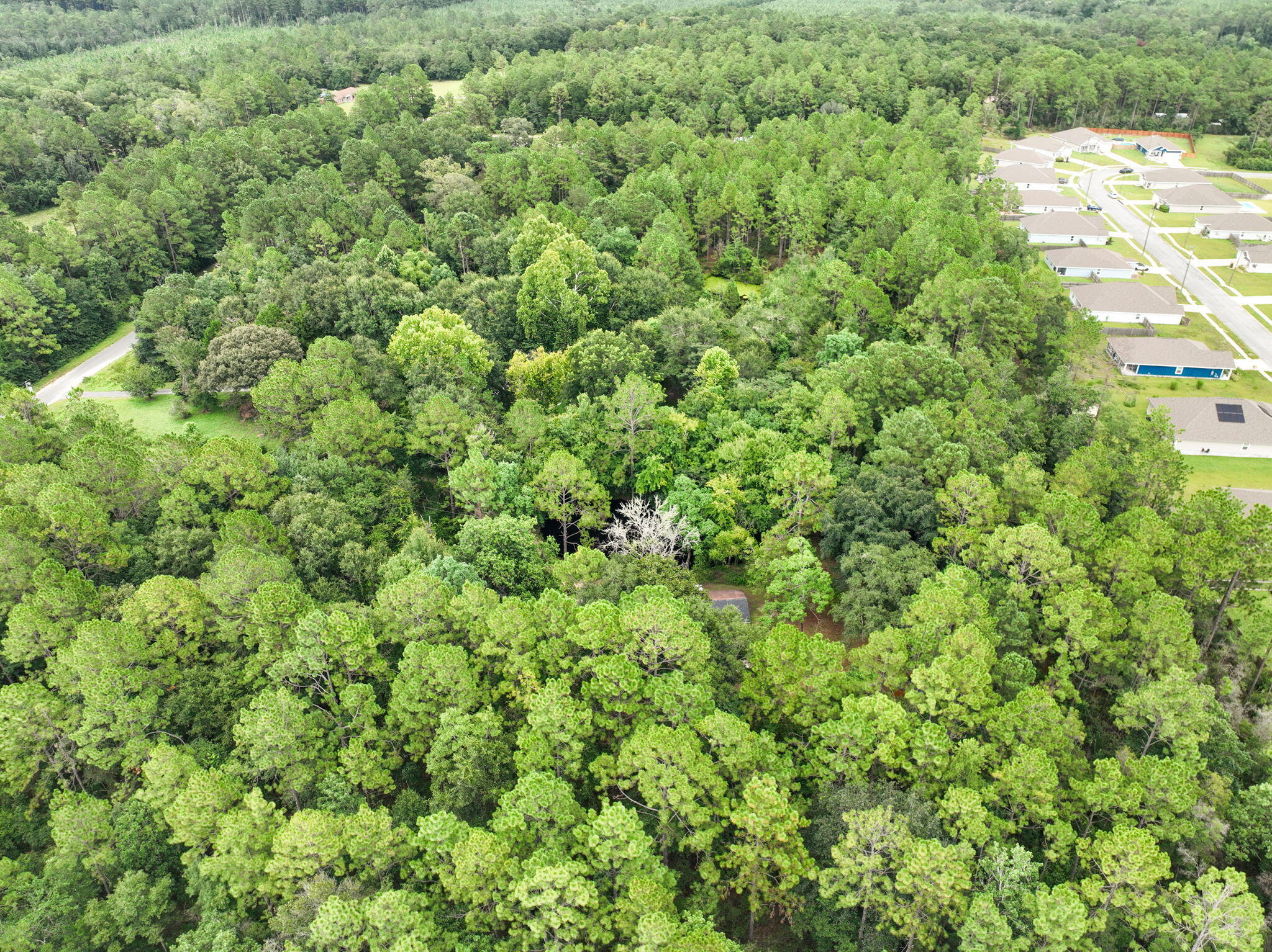 6359 Childrens Lane Crestview, FL 32539 - Photo 47 of 50 an aerial view of residential houses with outdoor space