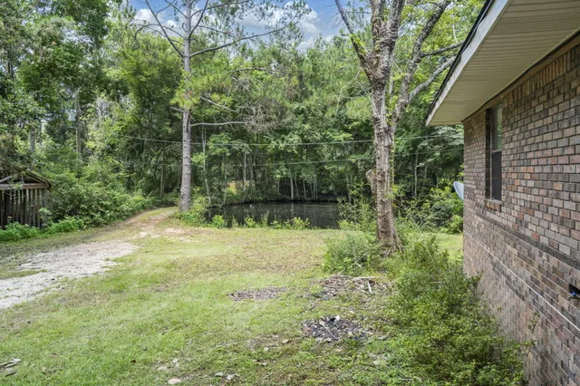 a view of a backyard with plants and large trees