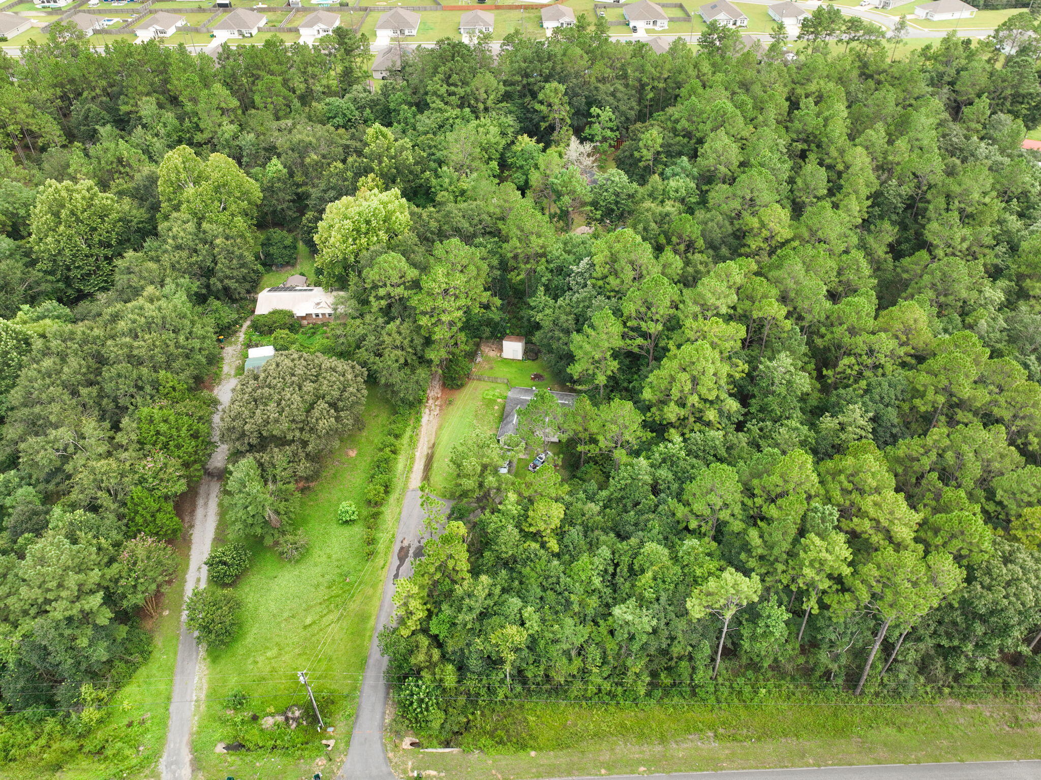 6359 Childrens Lane Crestview, FL 32539 - Photo 6 of 50 a view of a garden