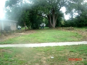 a view of a green yard