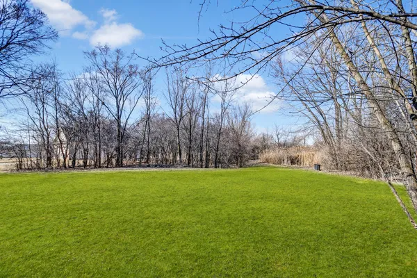 a view of yard with tree