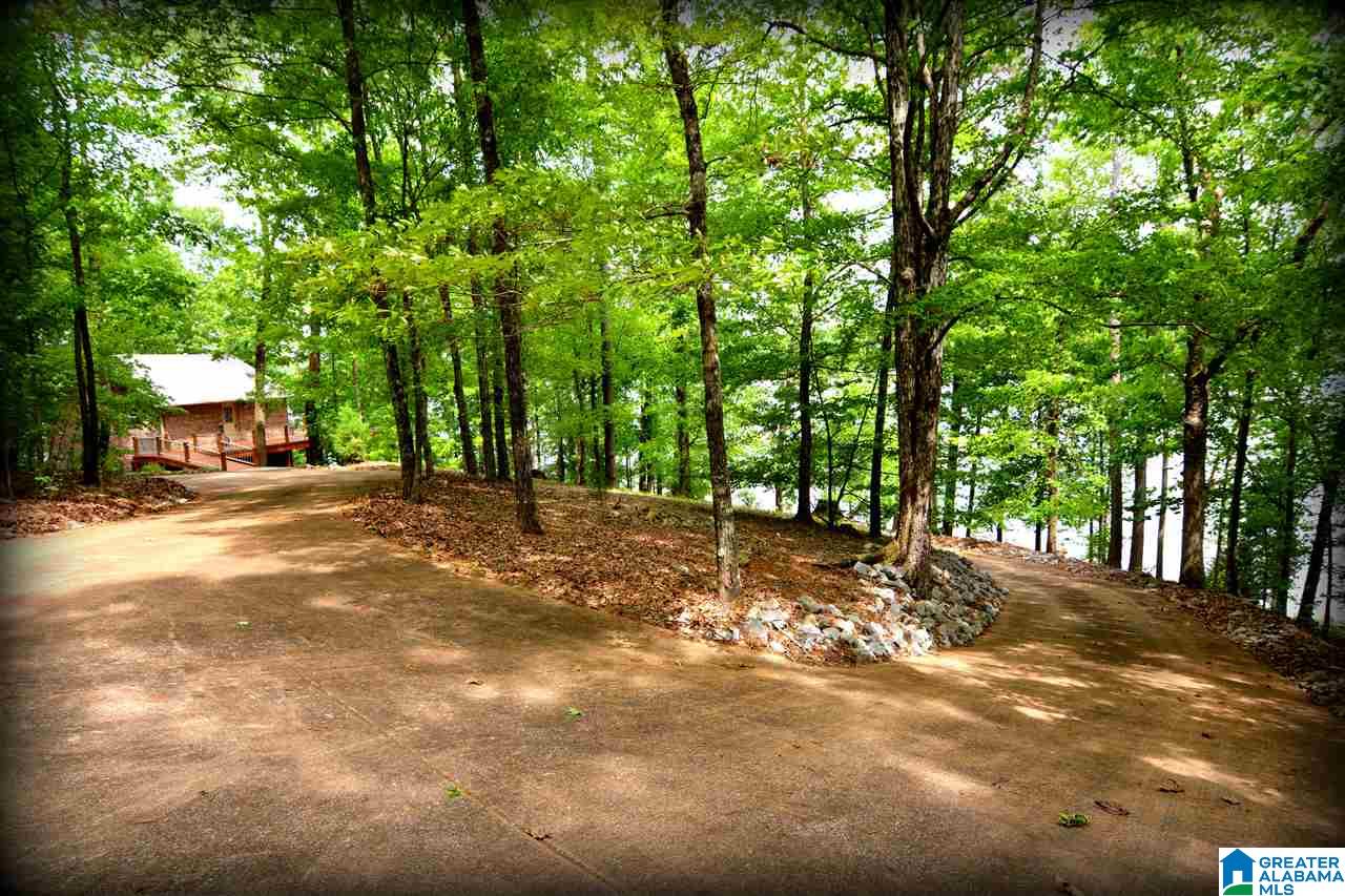 870 Black Acres Road Cropwell, AL 35054 - Photo 50 of 50