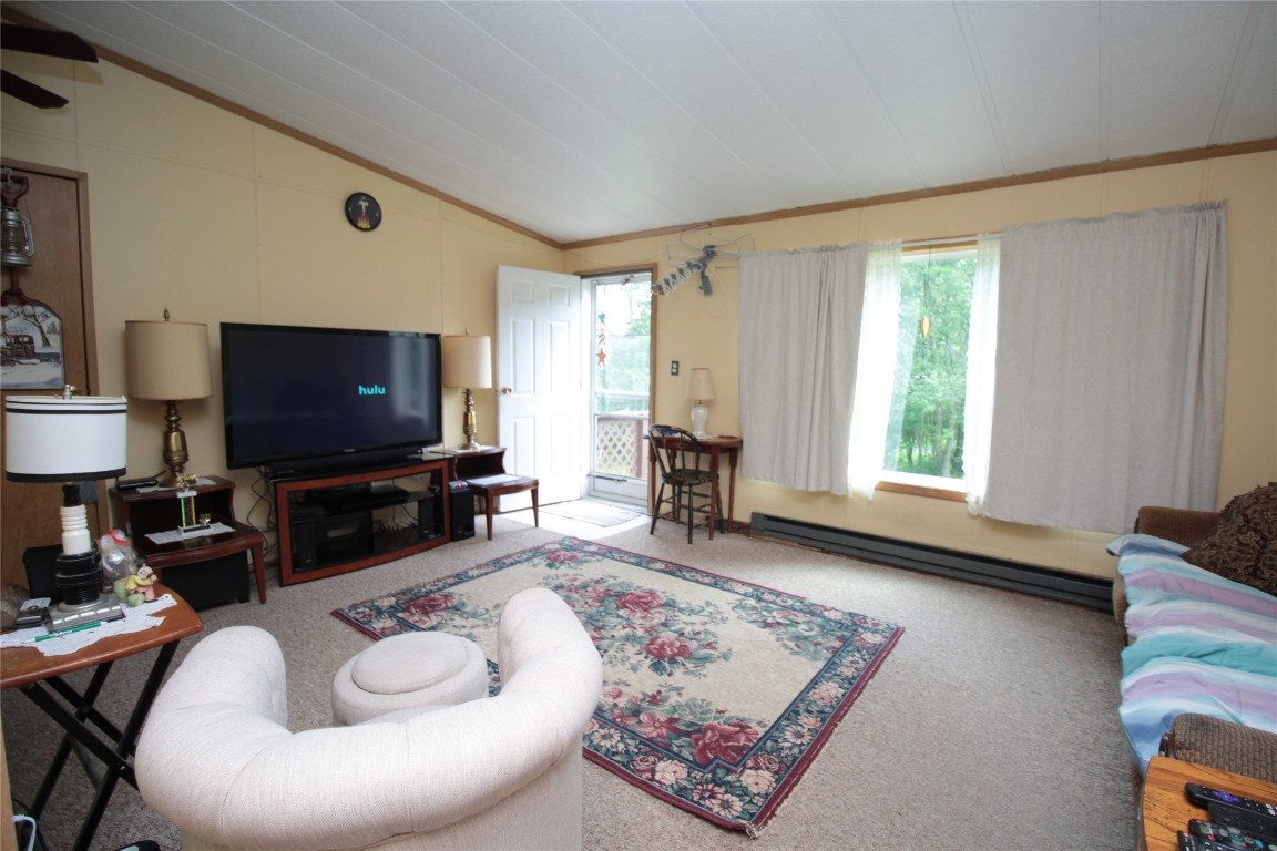 106 Lingee Road Afton, NY 13730 - Photo 2 of 33