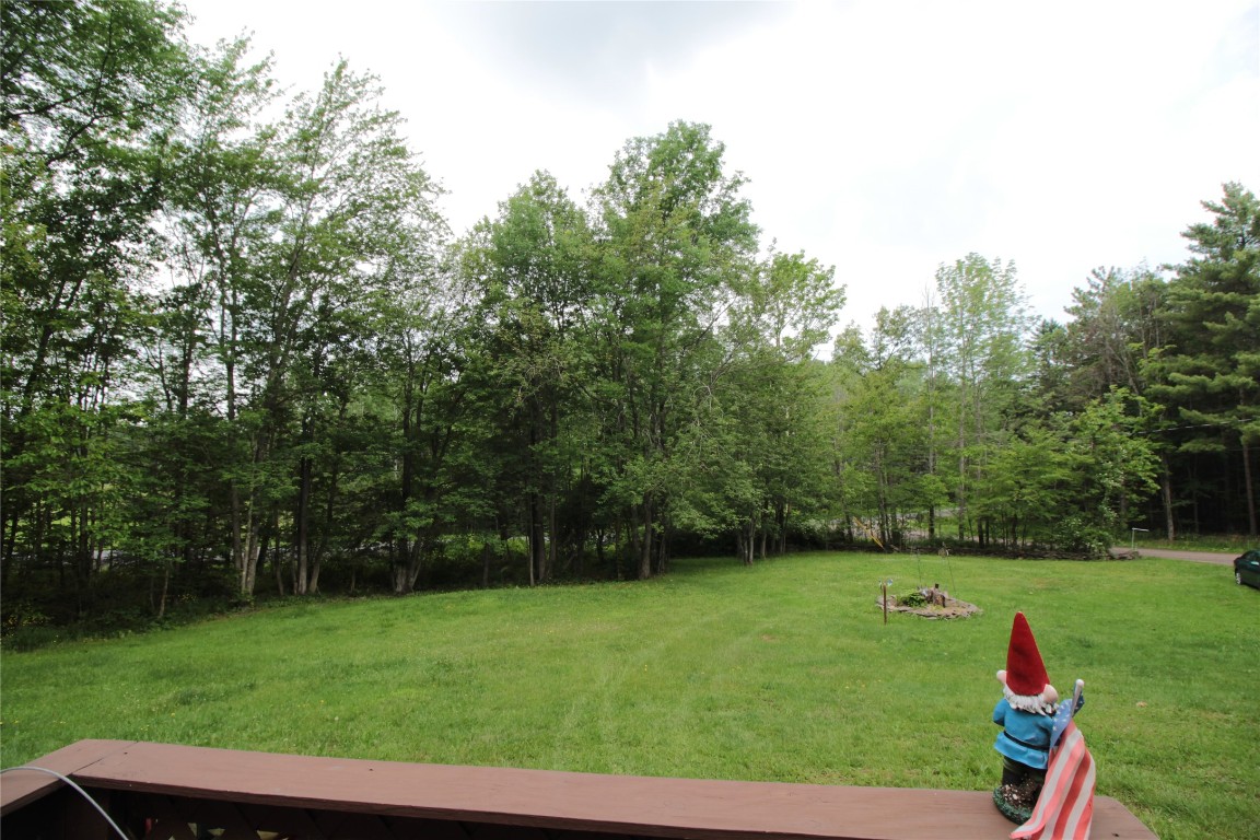 106 Lingee Road Afton, NY 13730 - Photo 21 of 33