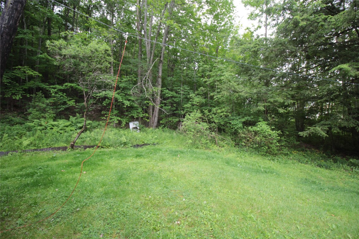 106 Lingee Road Afton, NY 13730 - Photo 24 of 33